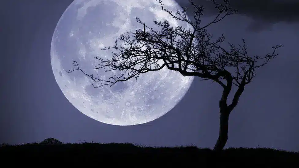 Blue Supermoon 2025 In United States Marys