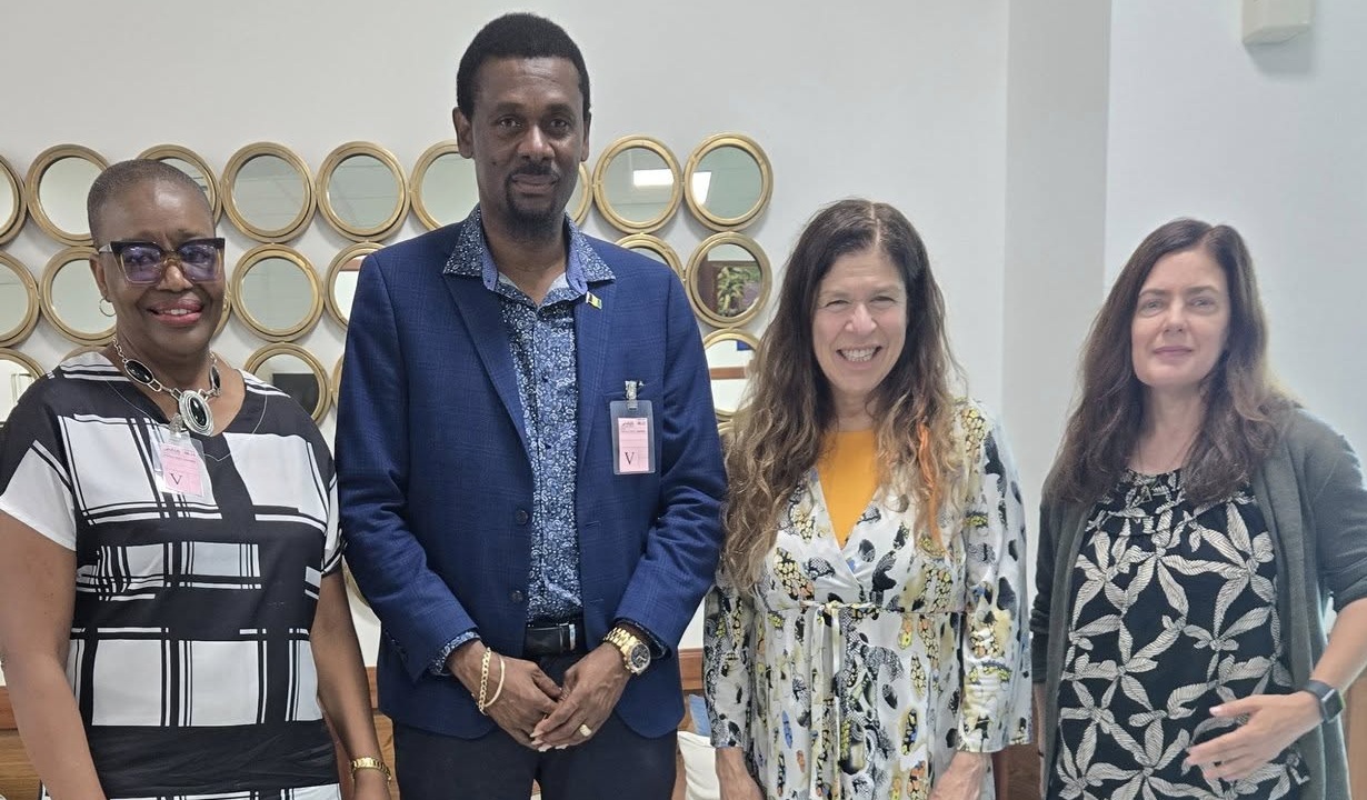 Afya foundation assess healthcare needs in SVG