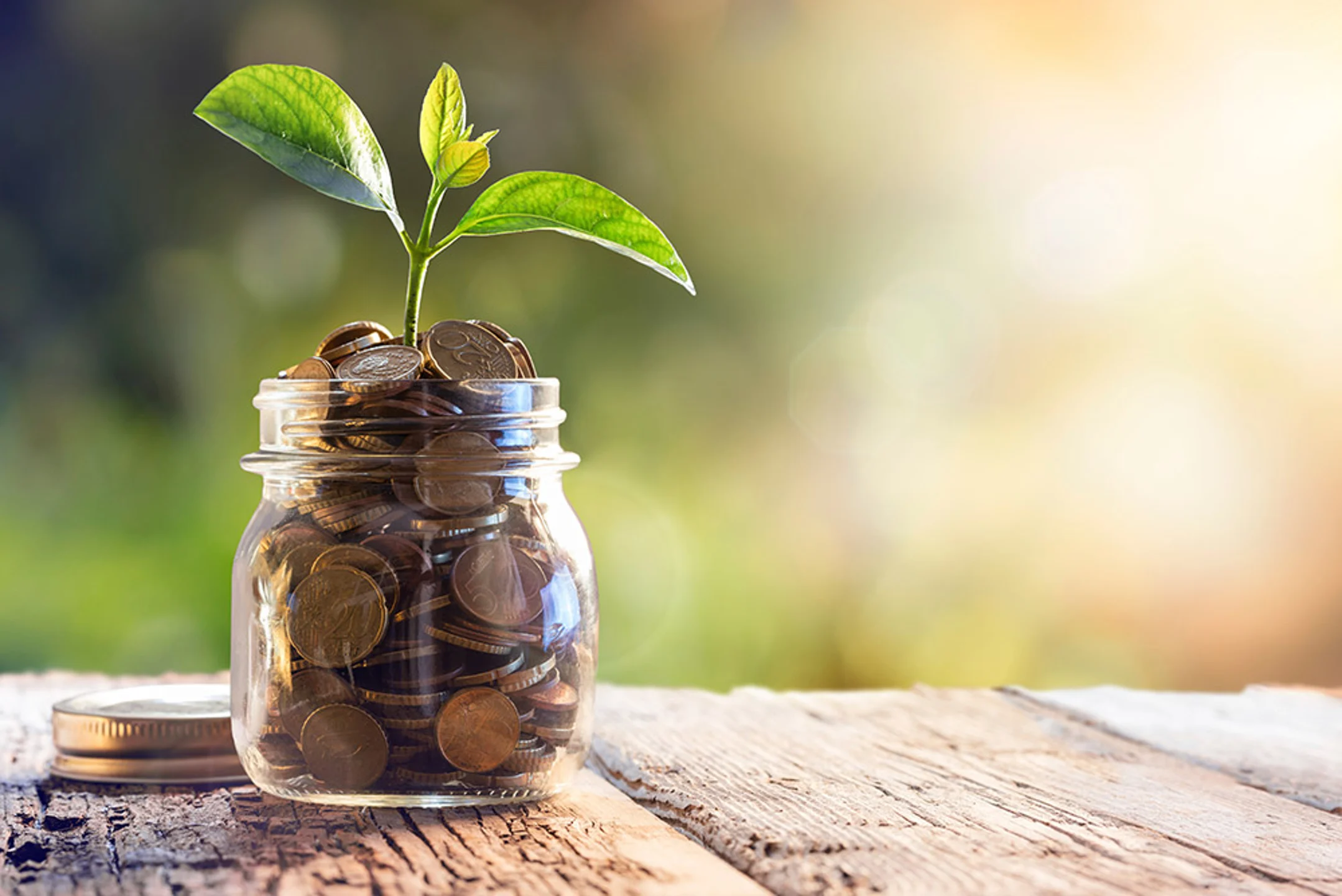 SVG agro-processors urged to apply for small business grants