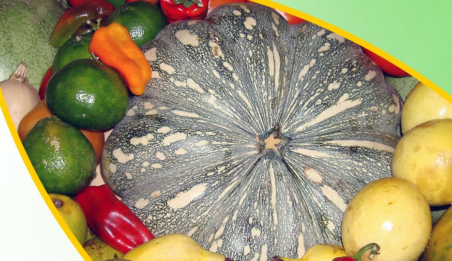 St Kitts to host Caribbean Week of Agriculture