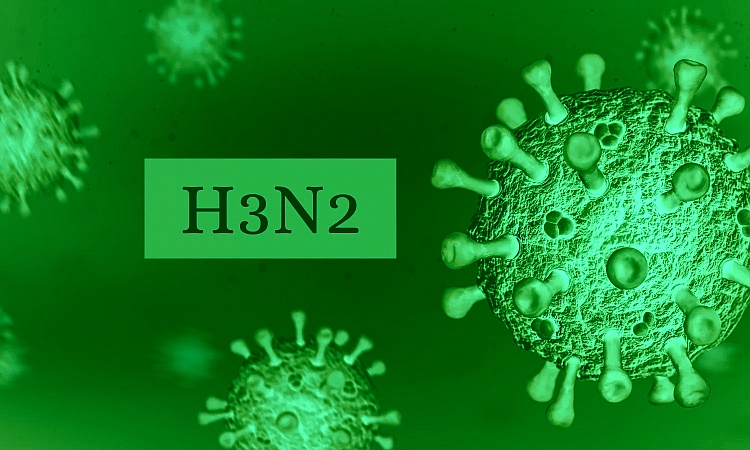 7 New H3N2 Cases Reported as SVG