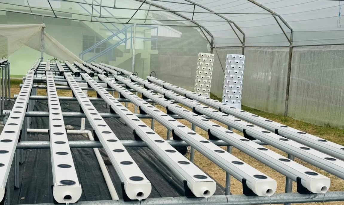 FAO equips SVGCC students with hydroponic skills