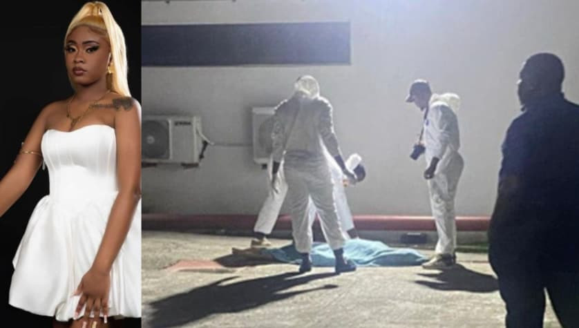 Guyana:Pregnant woman jumps to death from hospital window 