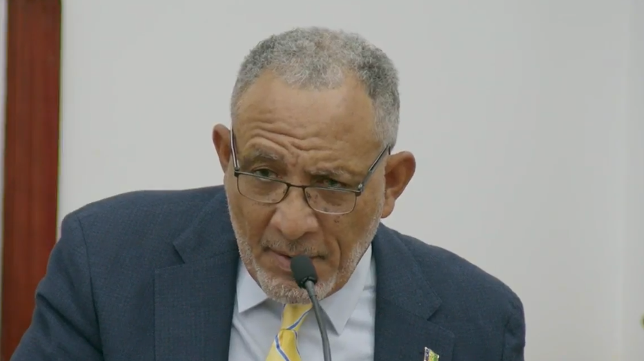 Constitutional amendment to allow politicians dual citizenship set for parliament