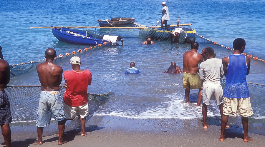 Beyond the Ban: Grenada’s Fishing Industry Crisis