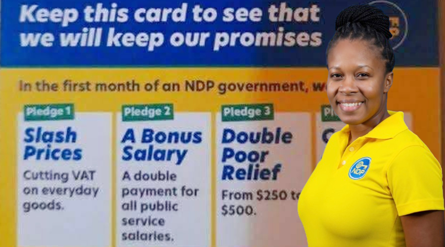 Campaign cards ‘printed in error’:Minister King
