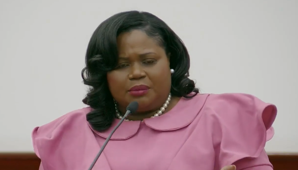 Peters labels budget as ‘a fiscal betrayal of NDP campaign promises’