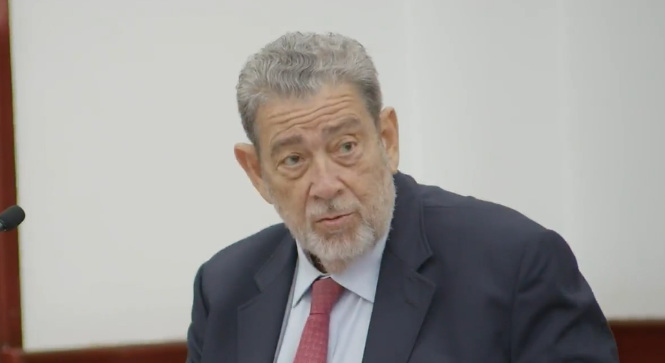 ‘Gun license authority vested in independent board, not politicians’