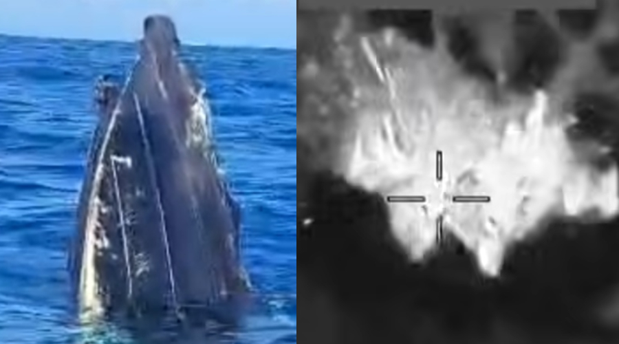 Opposition leader calls for govt clarity on maritime incidents