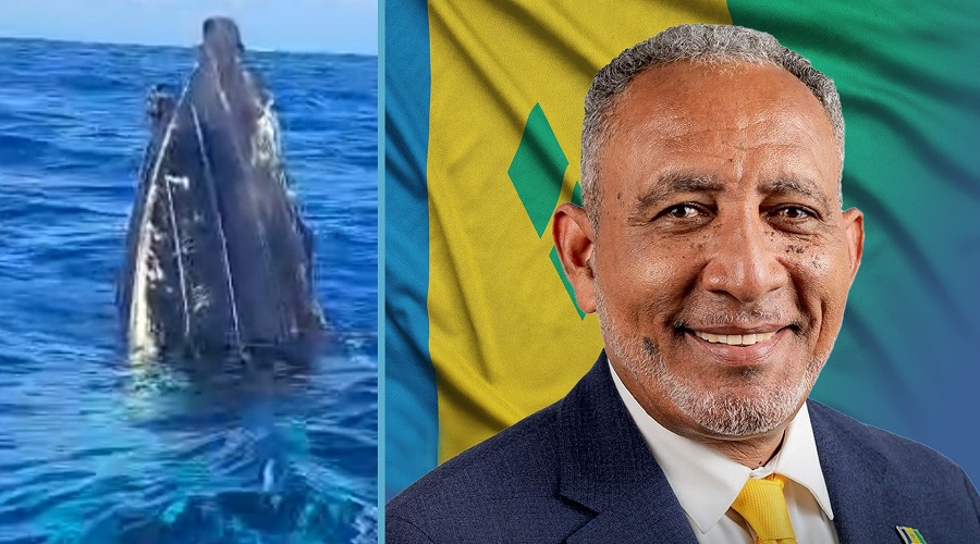 Govt remains silent days after US military boat strike in SVG waters