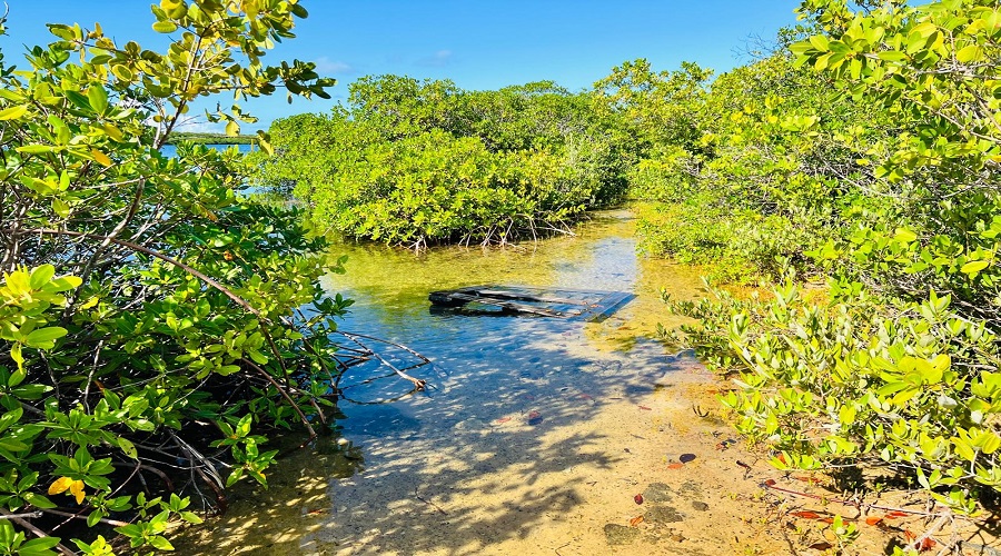 IHO Rangers host key NEMMA consultations in Antigua