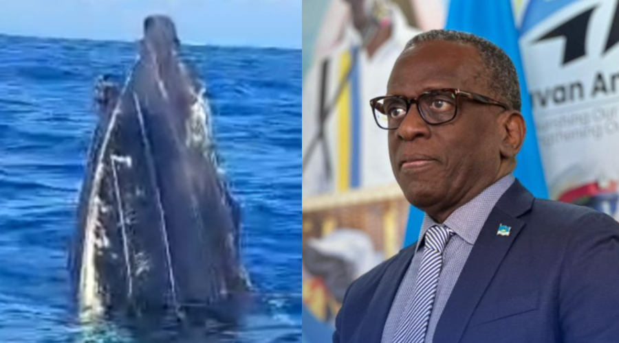 Regional concerns grow over US boat strike, wreckage find