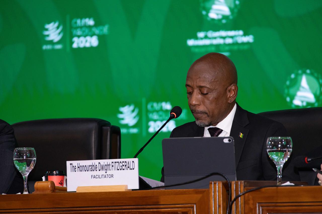 SVG champions global investments at WTO conference in Cameroon