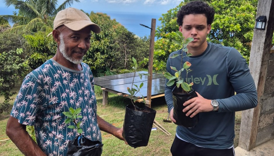 Cherio Farms pilots Wambugu apple in SVG