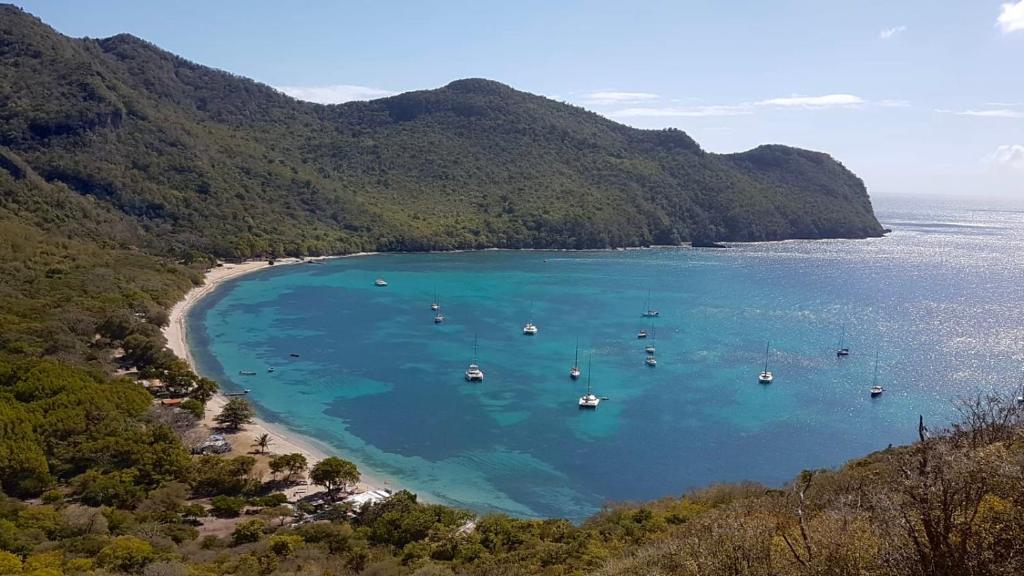 Is SVG’s priceless Chatham Bay land up for sale again?