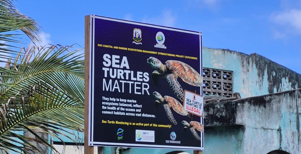 Anti-poaching push: New sea turtle sign surfaces in Colonaire