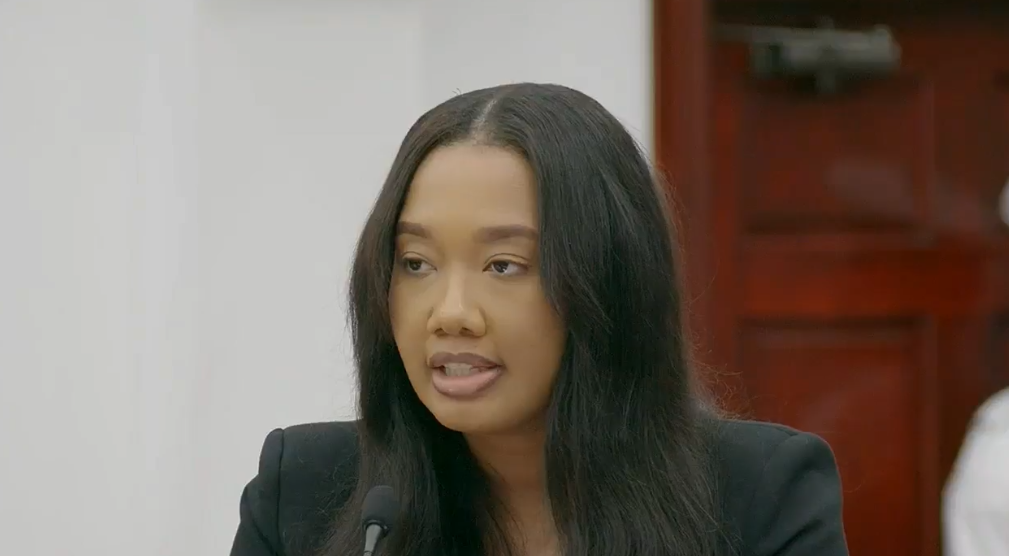 NDB to be the ‘engine’ for small business: Alexander