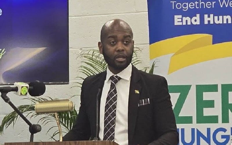 Minister calls for system-wide solutions at ZHTF anniversary