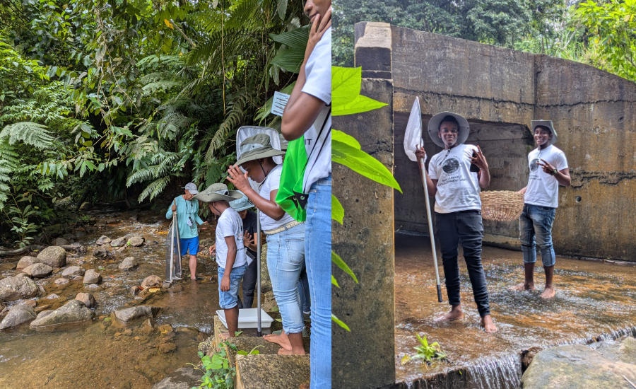 Citizen Scientists Mobilize for Earth Day