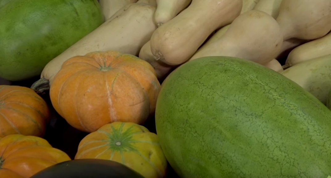 SVG advances its food security crisis plan