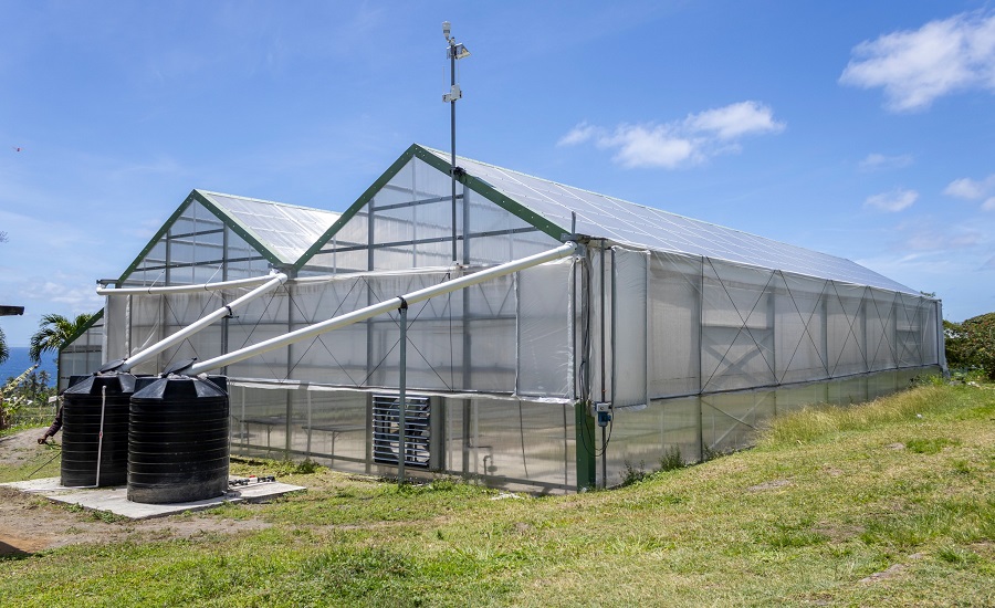 New Greenhouse at Orange Hill targets orchid production
