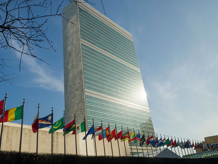 UN virtual workshop announced for Caribbean nations